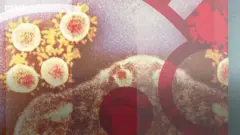 virusi