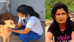 અમદાવાદ, શ્વાન, પ્રેમ