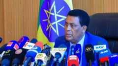 Ambaasaaddar Diinaa Muftii, Dubbii himaa ministeera haajaa Alaa Itoophiyaa