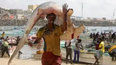 Fisherman Osman Abdulahi carries a hammerhead shark onto shore in Somalia's capital Mogadishu on Friday.