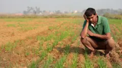 प्रातिनिधिक फोटो