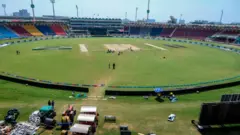 کرکٹ