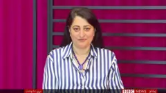 هنري شېبې