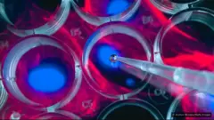 Au total, les cellules sont susceptibles d'avoir sauvé 10,3 millions de vies de maladies mortelles