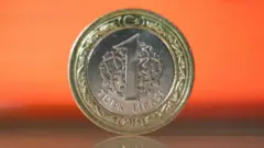 Dolar, Türk Lirası'na karşı 8 seviyesini aşarak haftaya rekorla başladı. Ekonomistler, doların neden yükseldiğini ve TL'deki değer kaybına ilişkin tahminlerini BBC Türkçe'ye yorumladı.