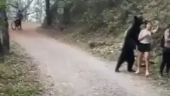 Vídeo