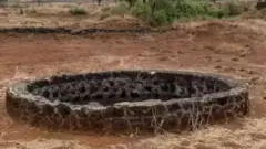 પ્રતીકાત્મક તસવીર