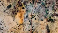 A satellite image of Alsen village near el-Fasher taken on 25 July 2025 showing the outline of the various houses and trees with a line showing the earthen wall weaving through the settlement.