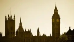 Вид на здания парламента и Вестминстерского аббатства