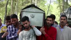 KASHMIR