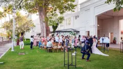 wedding