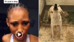 Aworan afihan arabinrin to ni oun ba aja lo pọ