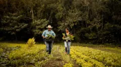 Um homem e uma mulher caminham em uma plantação enquanto seguram alguns vegetais
