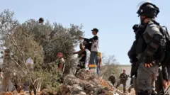 القوات الإسرائيلية مقابل متطوعين ونشطاء فلسطينيين وأجانب يقطفون الزيتون تضامنا مع الفلسطينيين الذين صادر المستوطنون أراضيهم في قرية بيتا شمال نابلس بالضفة الغربية المحتلة، 10 أكتوبر/تشرين الأول، 2021