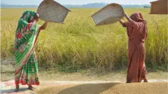 বাংলাদেশের মোট আয়তনের ৫৬ শতাংশ জমিতে ফসলের আবাদ হয়।