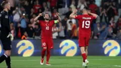 Milli takım