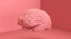 Cerebro