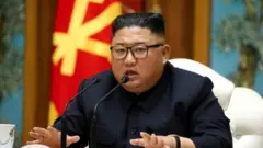 일부 언론은 김정은 국무위원장 위독설을 제기했다