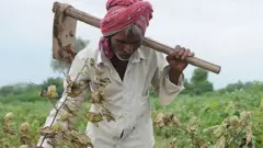 ખેડૂત