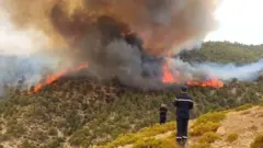 چورلکې د اور وژلو هڅه کوي، اوبه پرې شیندي.‌