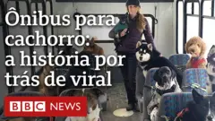 Dupla do Alasca criou uma empresa familiar e comprou um ônibus para levar cachorros a passeio ao ar livre.