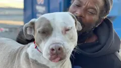 Köpek ve evsiz adam