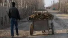 таппи