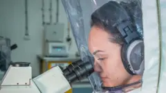 Handout from Australia's CSIRO agency shows a researcher working on a vaccine for the new coronavirus
