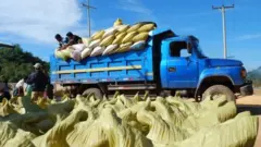မြန်မာ့ပဲ ပြည်ပ တင်ပို့မှုမှာ အိန္ဒိယကို အဓိက အားထားနေရ