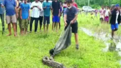 Python