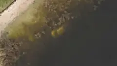 Google Earth