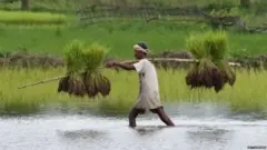 விவசாயிகள்