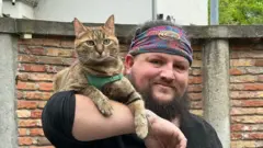 macka nala i din nikolson