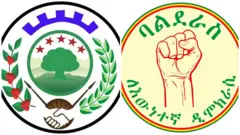 የኦፌኮ አና የባልደራስ አርማዎች