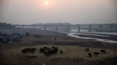 پاکستان، سیاست