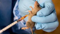 Hukumomi sun bukaci ma'aikatan lafiya su kula, yayin da suke duba marasa lafiya