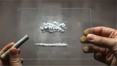 अलीकडच्या काही वर्षांत गुजरातच्या समुद्रकिनाऱ्यांद्वारे भारतात मोठ्या प्रमाणात अंमली पदार्थांची तस्करी करण्याचा प्रयत्न करण्यात आला आहे.