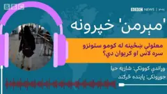 مېرمن پروګرام