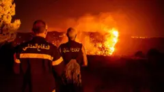 حرائق لبنان