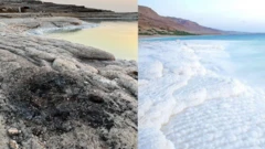 صور متداولة تظهر نفايات على شاطئ عام في البحر الميّت في الأردن