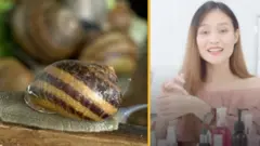 শামুক ও কোরিয়ান প্রসাধনী