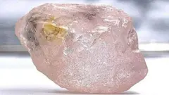 ১৭০ ক্যারাটের হীরাটির নাম দেয়া হয়েছে "দ্যা লুলো রোজ"