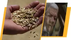 Випуск новин