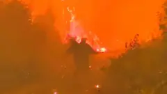 Пожар в Мордовском заповеднике