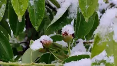 Region u aprilskom snegu