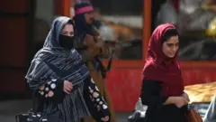 तालिबान
