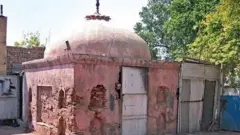 سوشل میڈیا