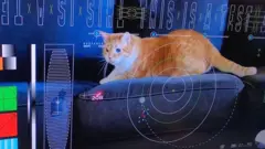 Image shows a video of a red tabby cat on a sofa with "this is a test" and other graphics overlaying the screen