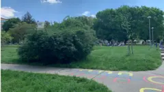 zvezdara