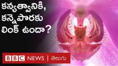 మొదటి కలయిక తర్వాత కన్నెపొరకు ఏమవుతుంది, అసలు కన్యత్వంతో దానికి లింకేంటి?